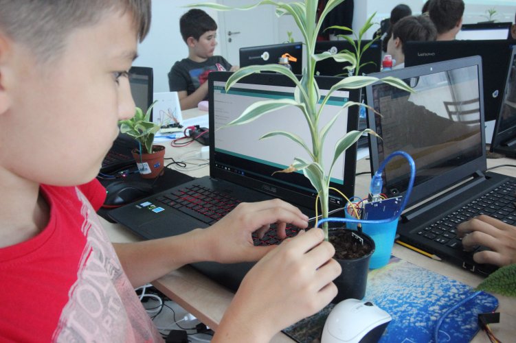 Planta noastră a devenit inteligentă